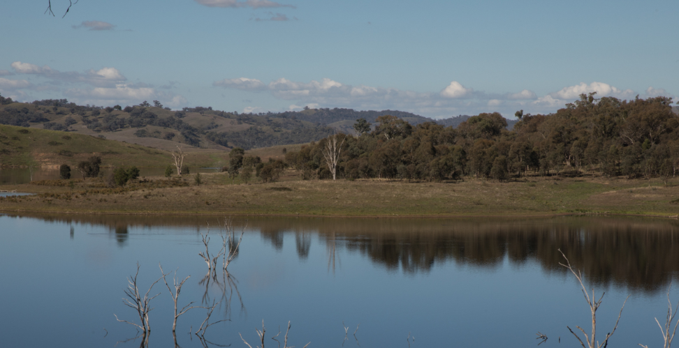 Lake Windamere near Mudgee, central west NSW